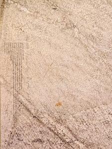 Buon Fresco [con firma dell'Autore]