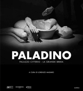 Paladino